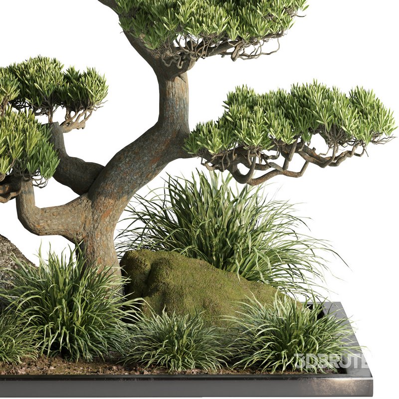 indoor plant set013 Image 3