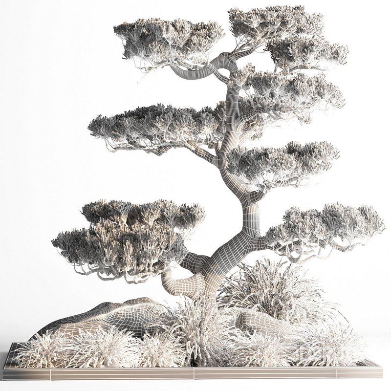 indoor plant set013 Image 4