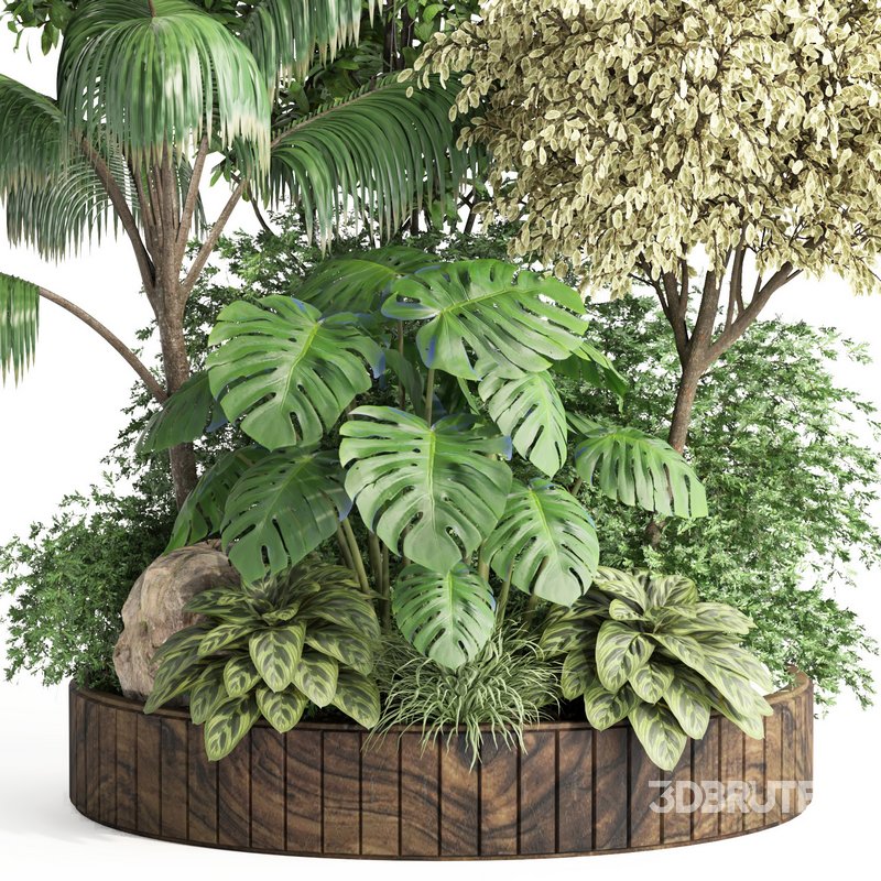 indoor plant set015 collection Image 2