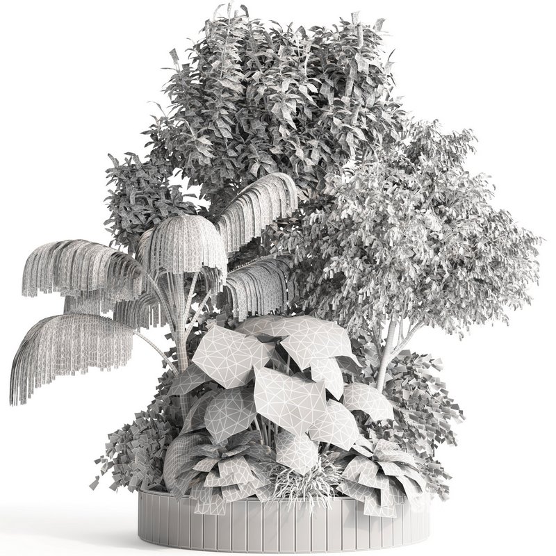 indoor plant set015 collection Image 4