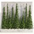 indoor vertical green wall garden01 - Thumbnail 1