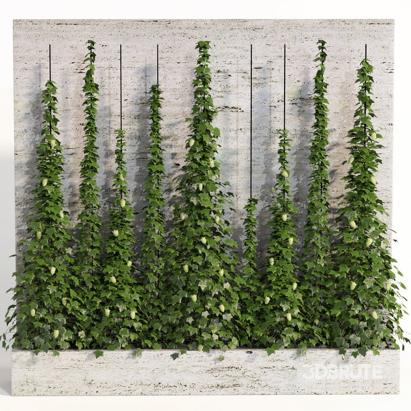 indoor vertical green wall garden01 Image 1
