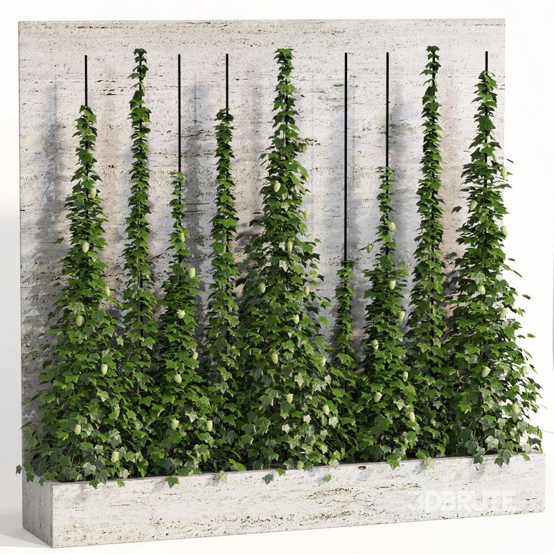 indoor vertical green wall garden01 Image 2