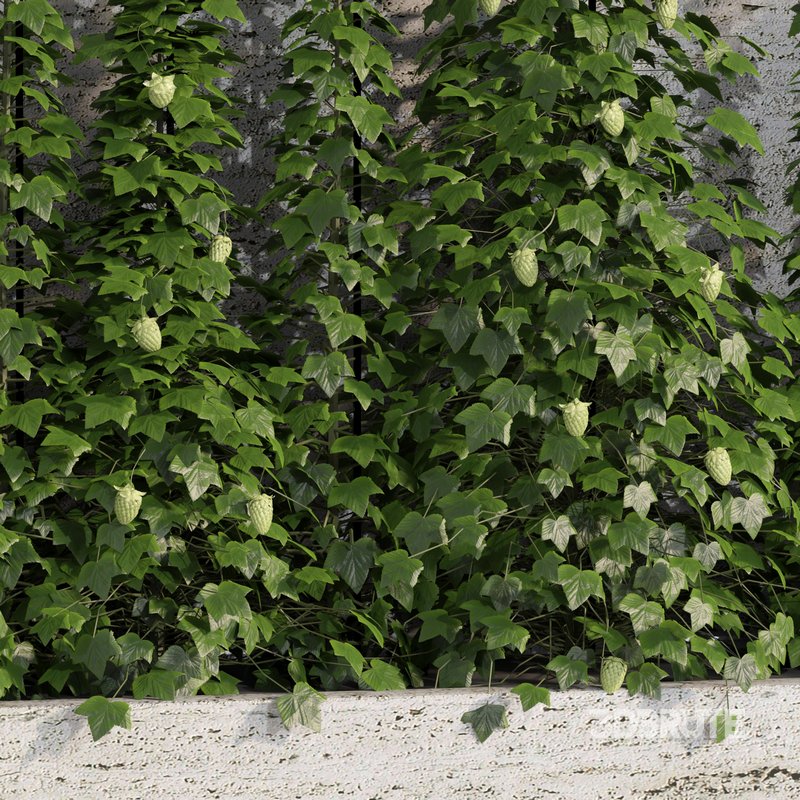 indoor vertical green wall garden01 Image 3