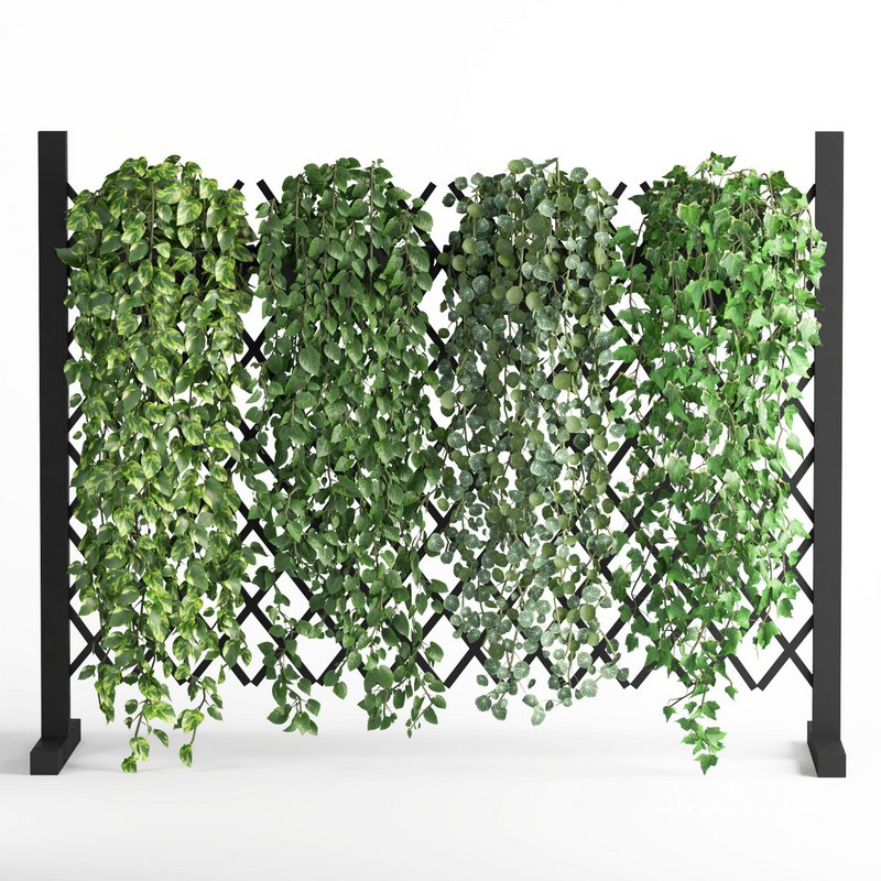 indoor vertical green wall garden02 Image 1