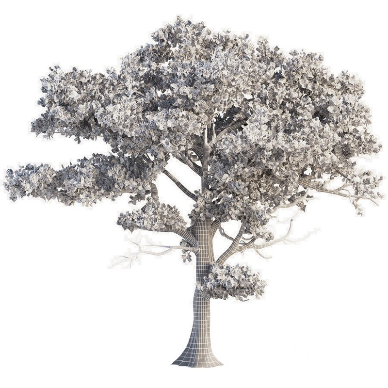 landscape environment tree set01 Image 2