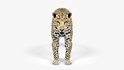 Leopard - Thumbnail 3