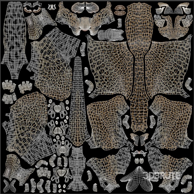 Leopard Image 12