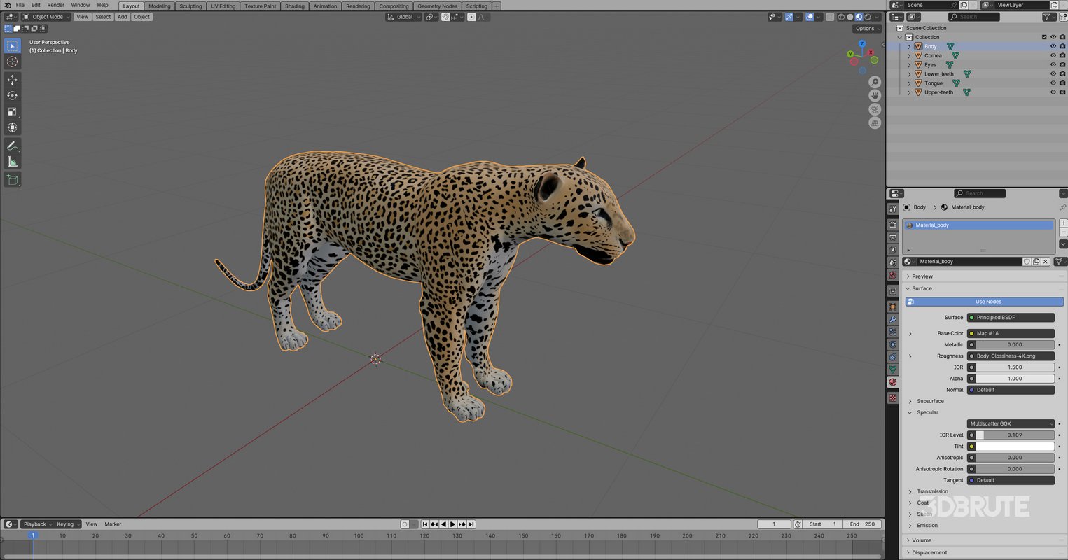 Leopard Image 15