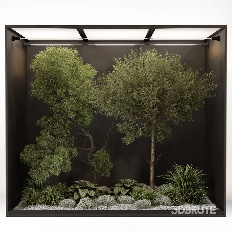 outdoor garden tree plant011 collection Image 1