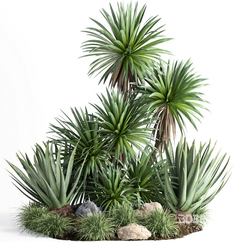 outdoor garden tree plant013 collection Image 1