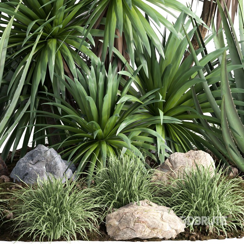 outdoor garden tree plant013 collection Image 4