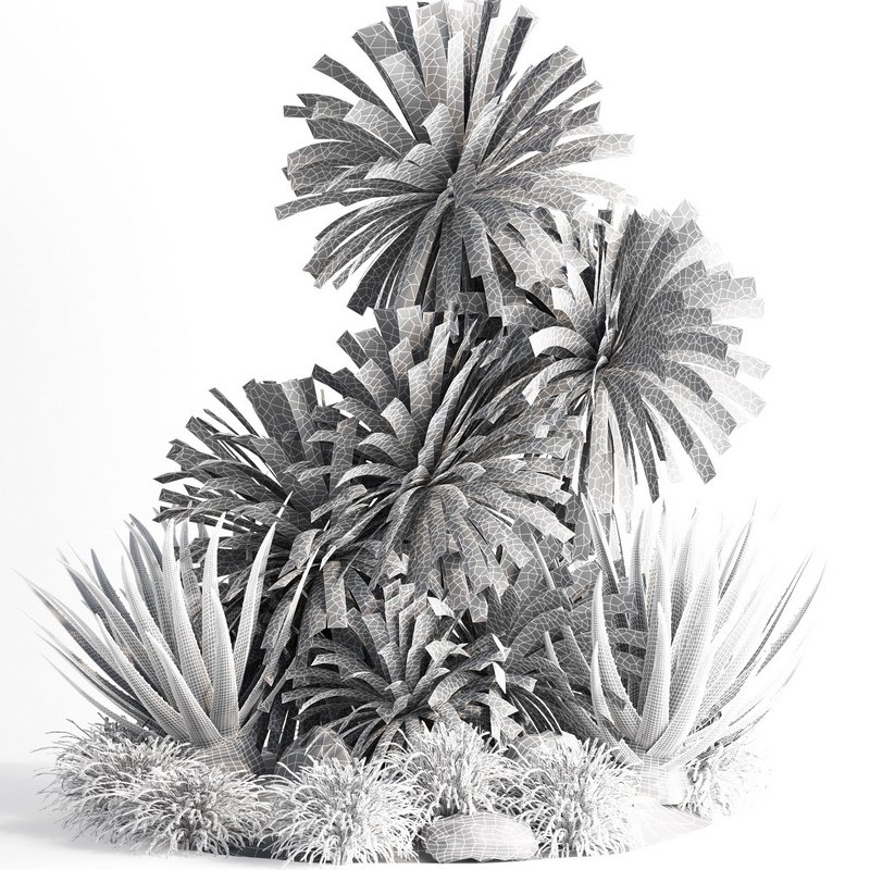 outdoor garden tree plant013 collection Image 5