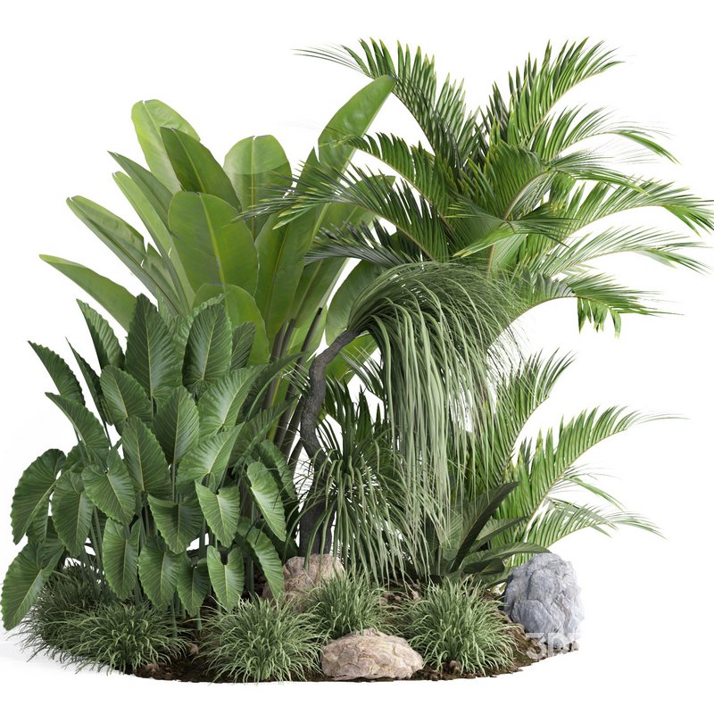 outdoor plant collection garden010 Image 1