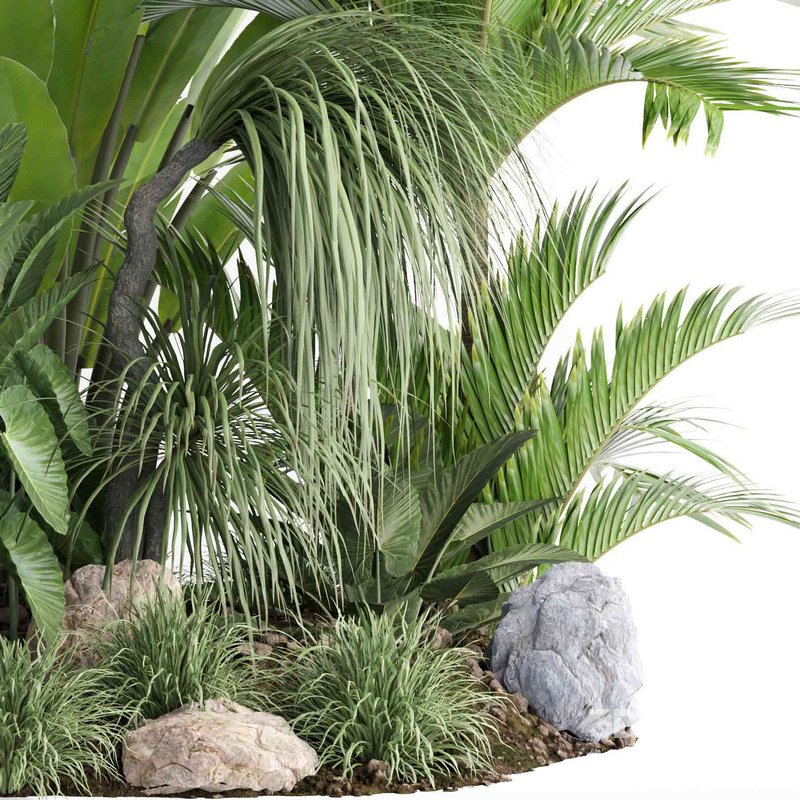 outdoor plant collection garden010 Image 2