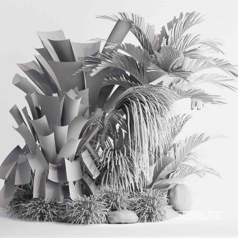 outdoor plant collection garden010 Image 5