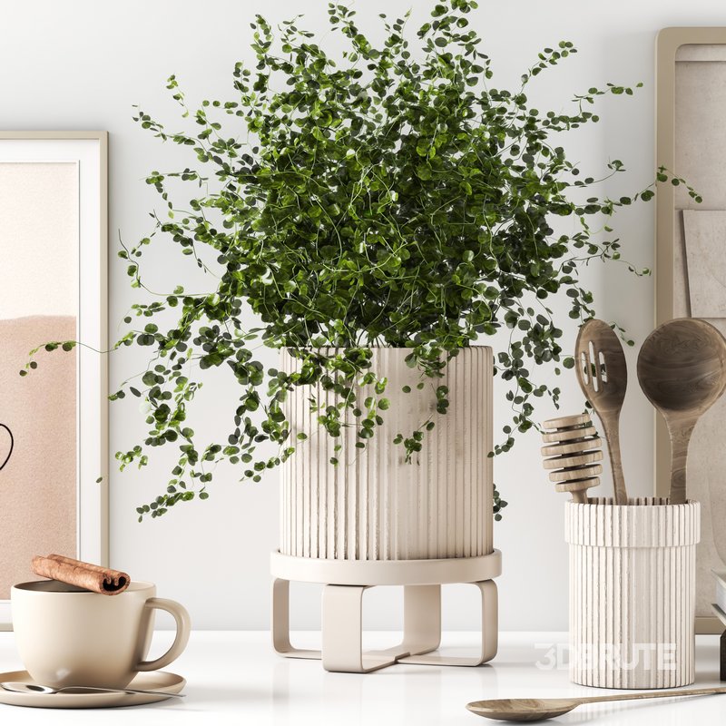 kitchen accessories 021 Image 3