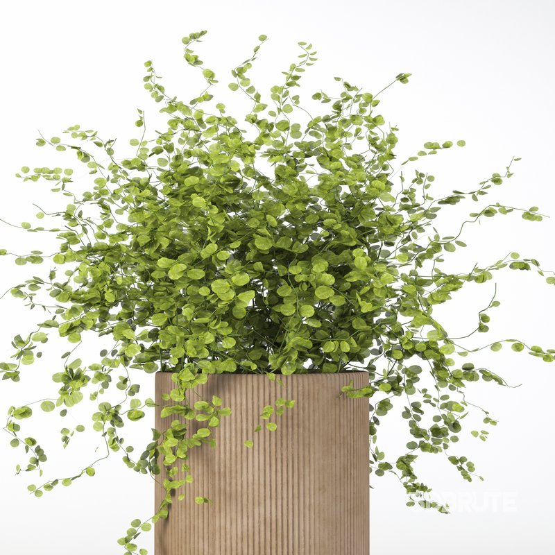 Decorative set 20 Image 3