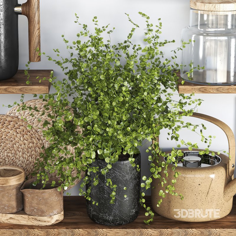 kitchen accessories 014 Image 3