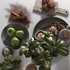 kitchen accessories 020 - Thumbnail 5