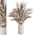 Pampas vase set50 - Thumbnail 1