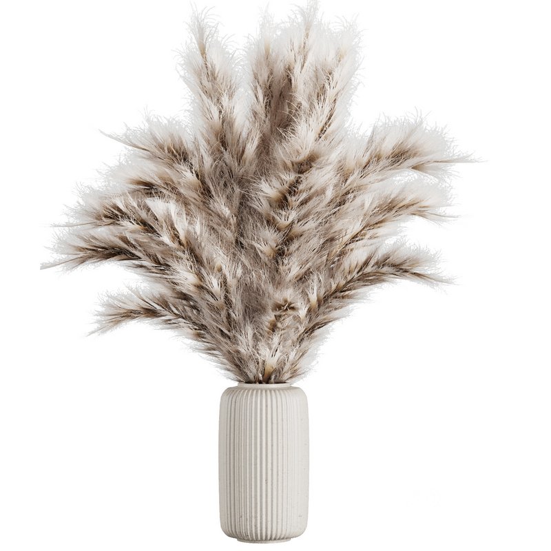Pampas vase set50 Image 2