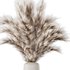 Pampas vase set50 - Thumbnail 3