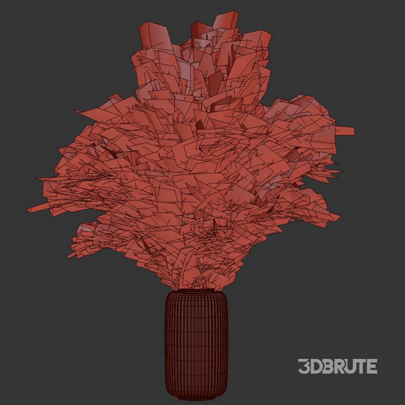 Pampas vase set50 Image 4