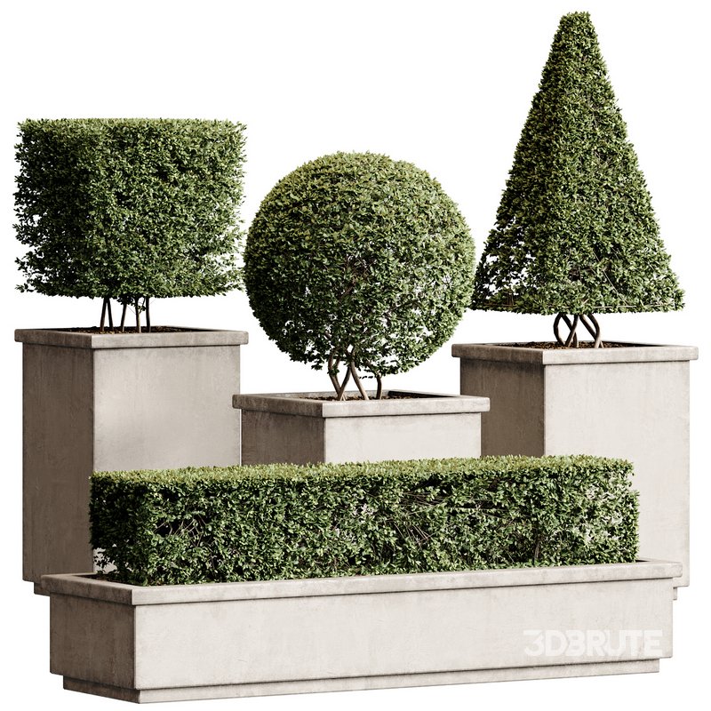 Outdoor Plant 27 Image 1