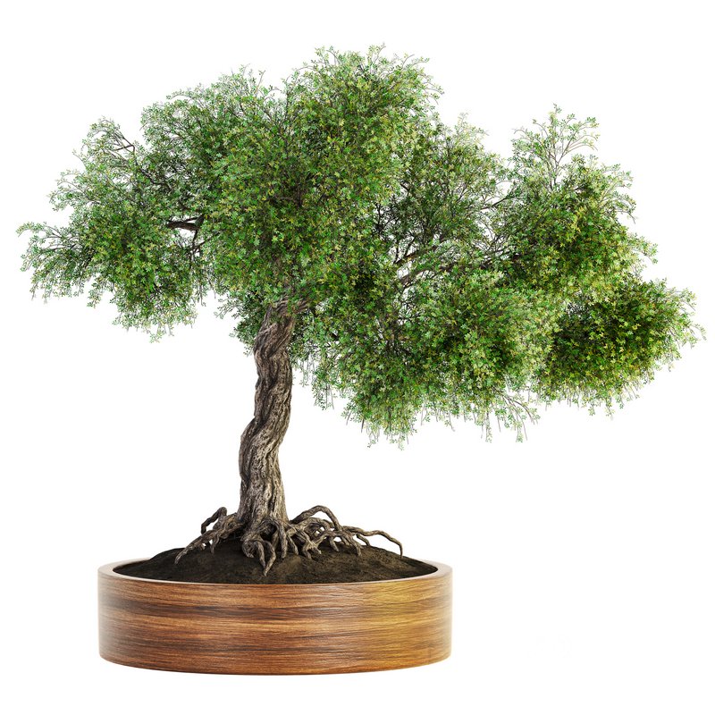 Indoor Plant Set 031 Image 1