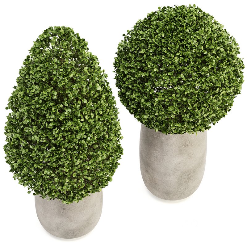 Outdoor Plant Set 01 Image 2