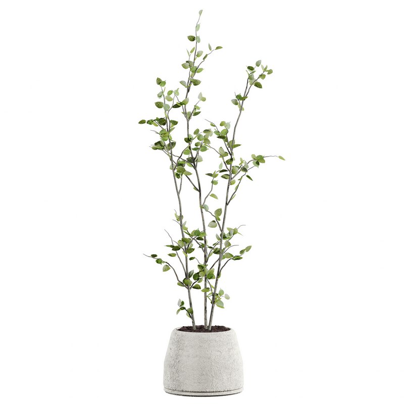 plants set 05 Image 2