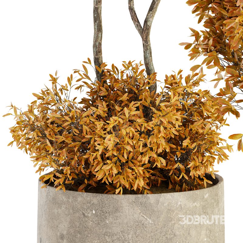 Indoor Plant Set 022 Image 2