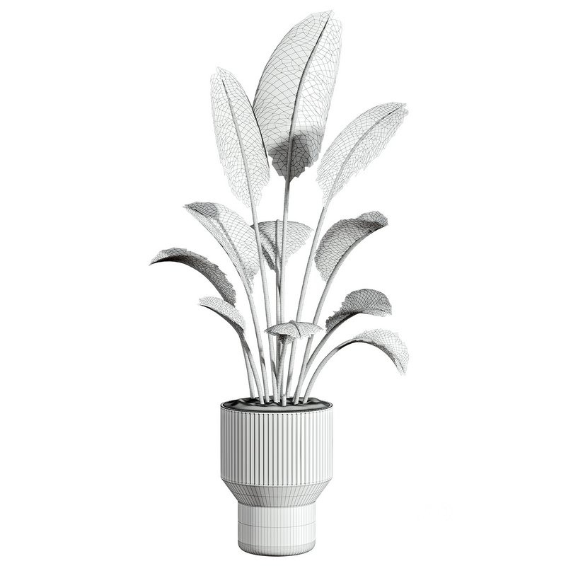 plants set 02 Image 3