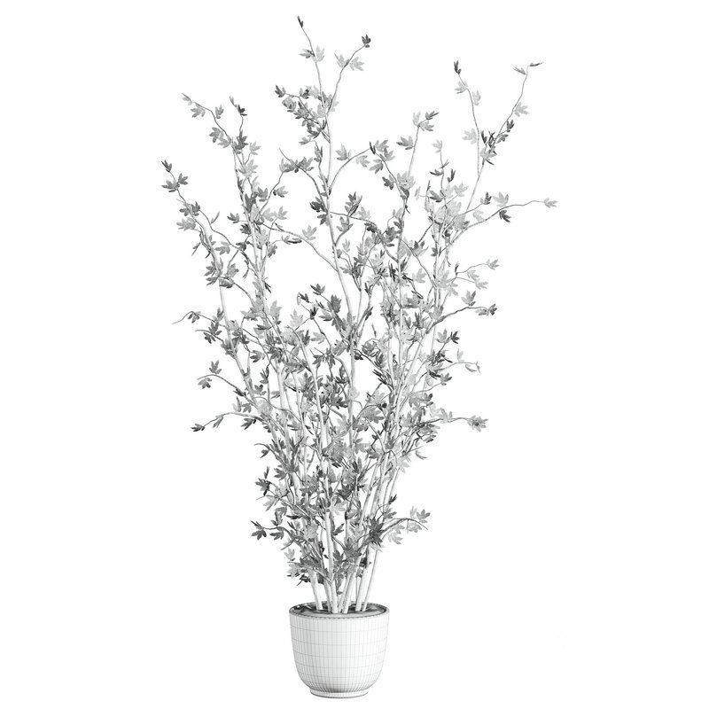 plants set 03 Image 3