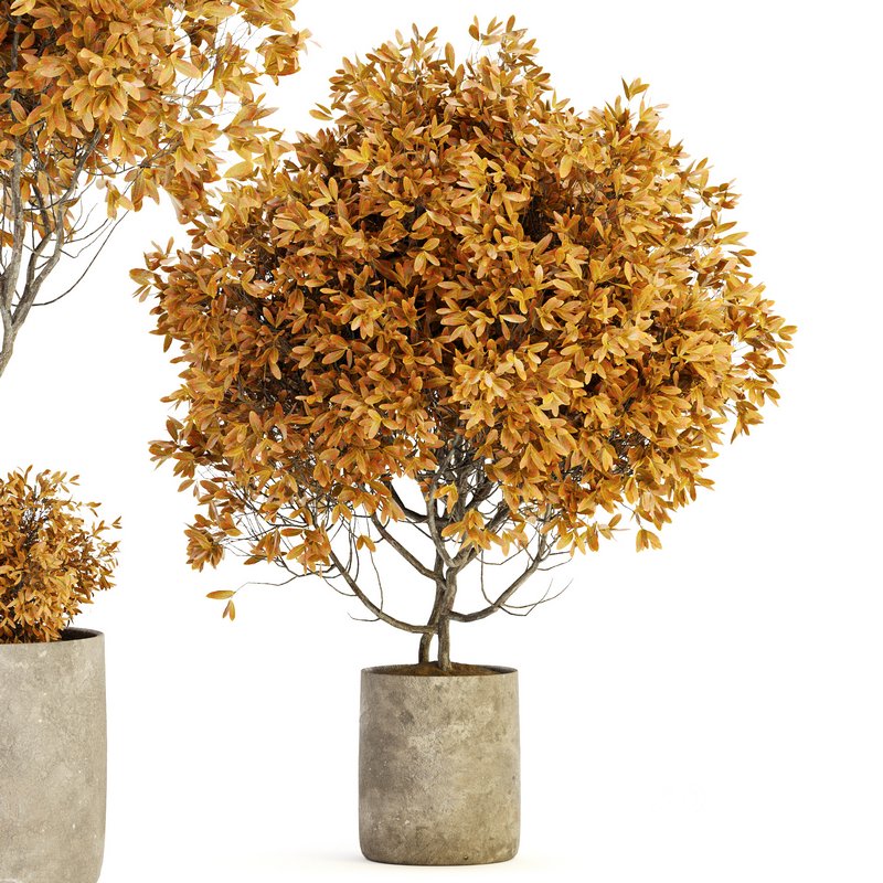 Indoor Plant Set 022 Image 3