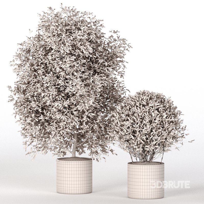 Indoor Plant Set 028 Image 4