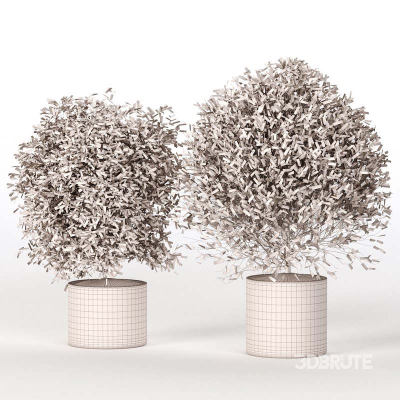 Indoor Plant Set 029 Image 4