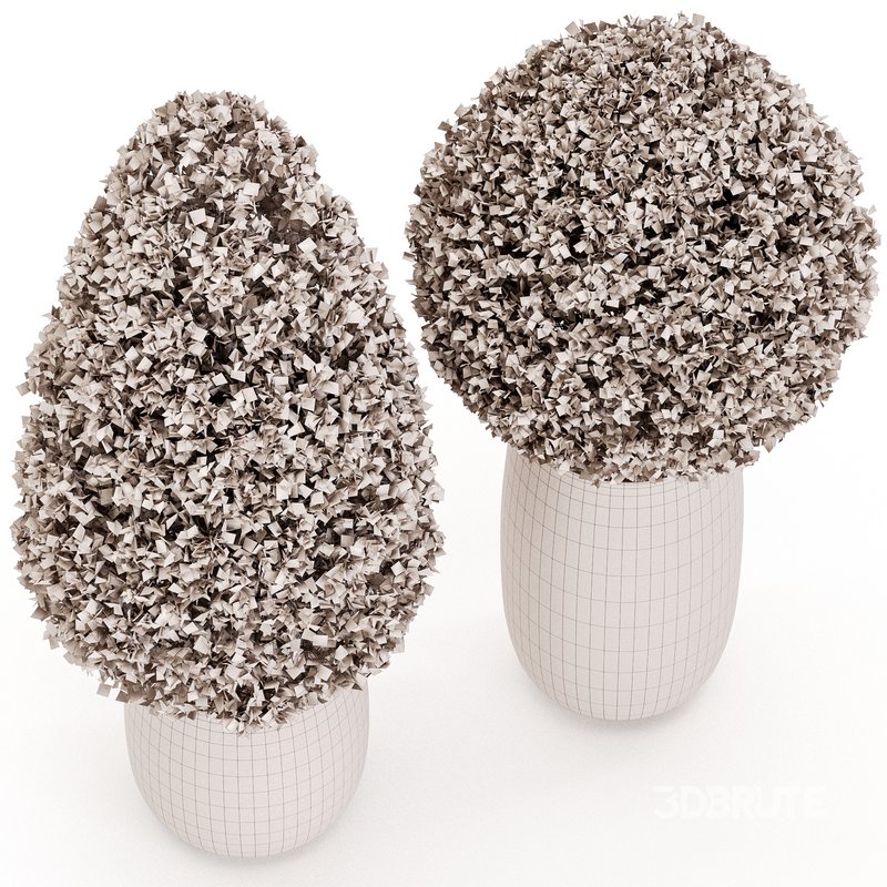 Outdoor Plant Set 01 Image 3