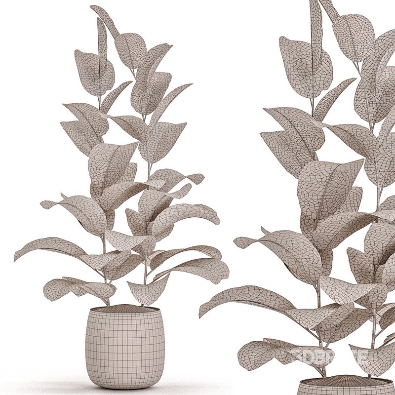 Indoor Plant Set 017 Image 4