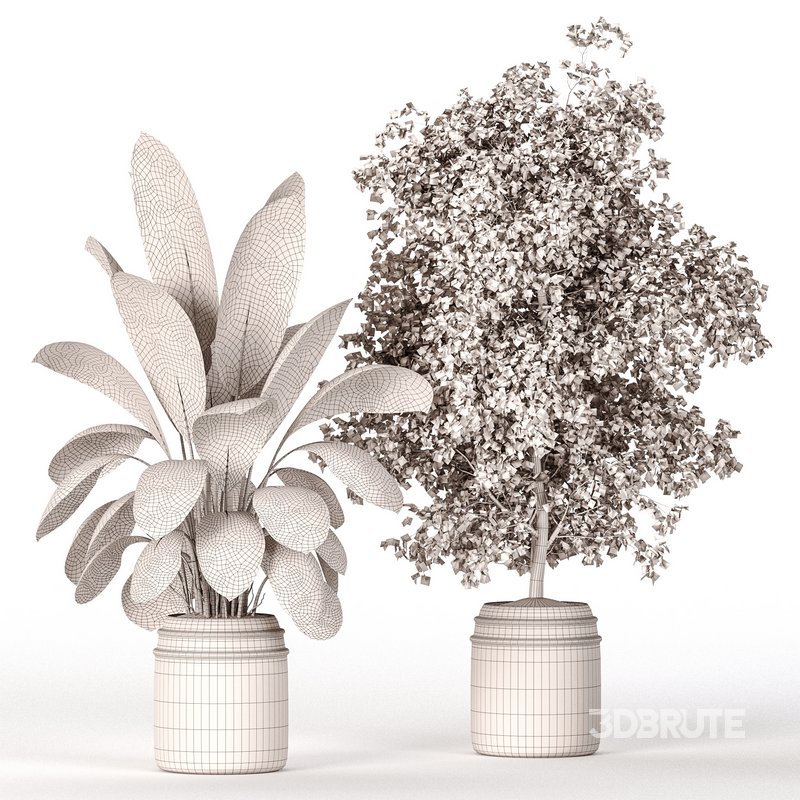 Indoor Plant Set 024 Image 4