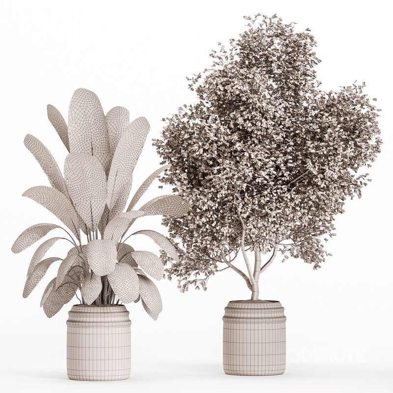 Indoor Plant Set 023 Image 4