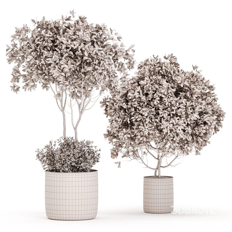 Indoor Plant Set 022 Image 4