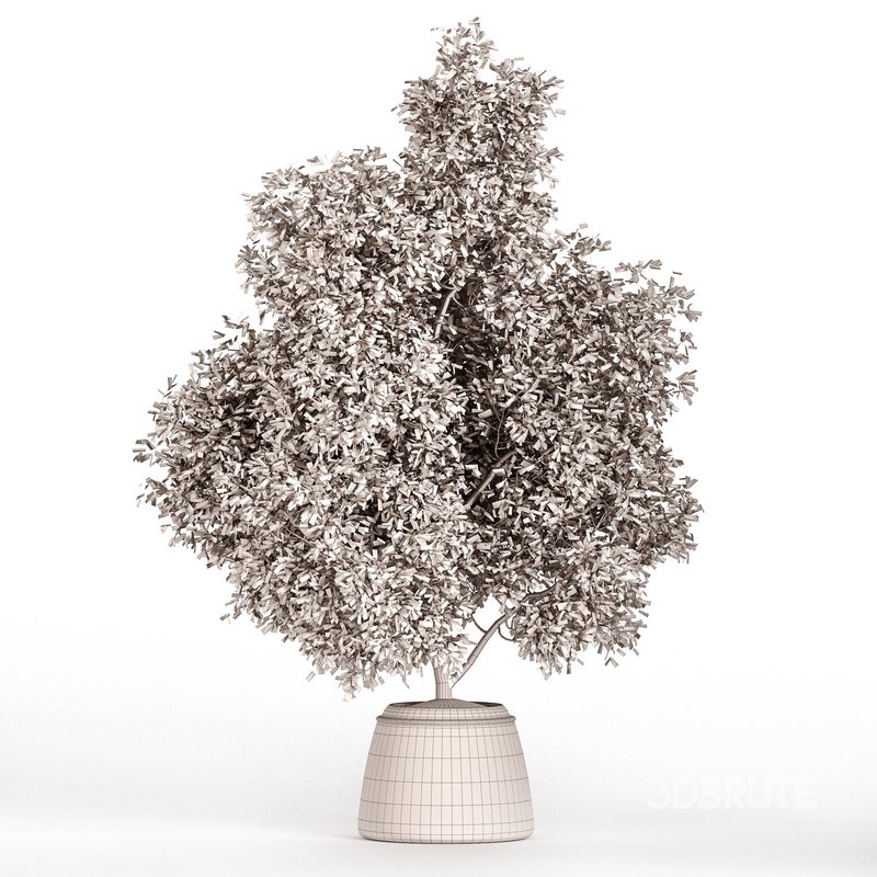 Indoor Plant Set 025 Image 4