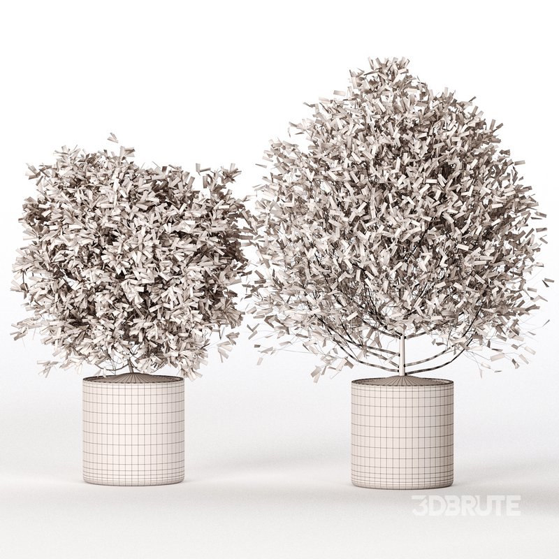 Indoor Plant Set 027 Image 4