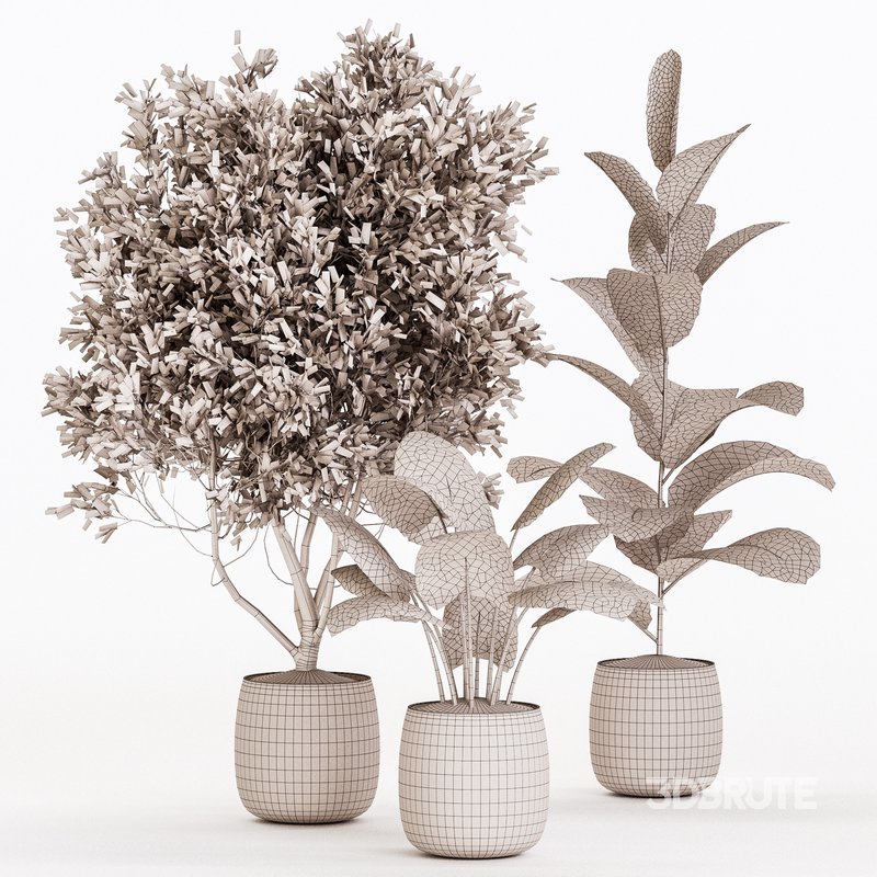 Indoor Plant Set 021 Image 4