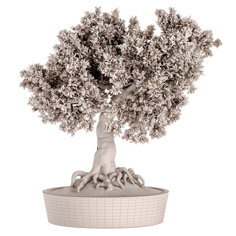 Indoor Plant Set 030 Image 4