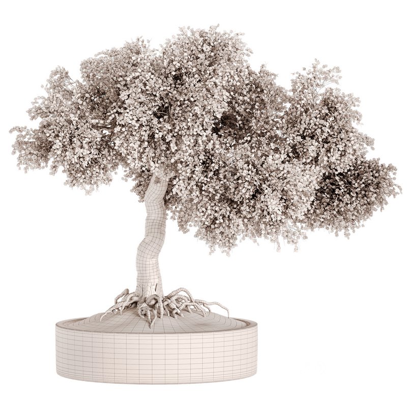 Indoor Plant Set 031 Image 5