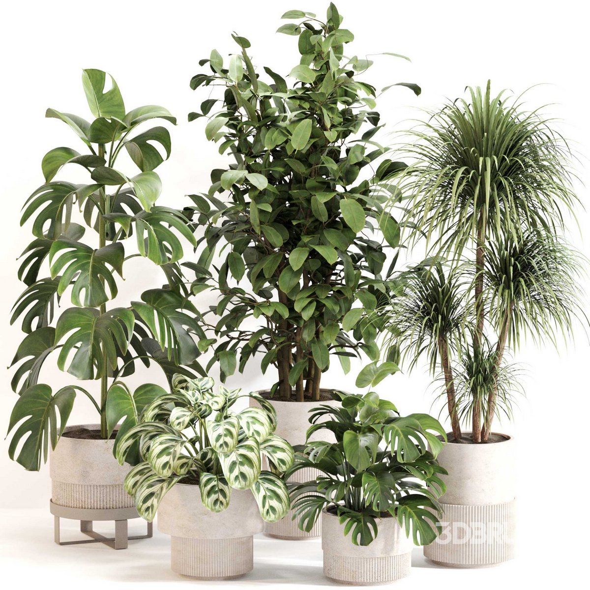 Indoor Plant Set 0113 Image 1