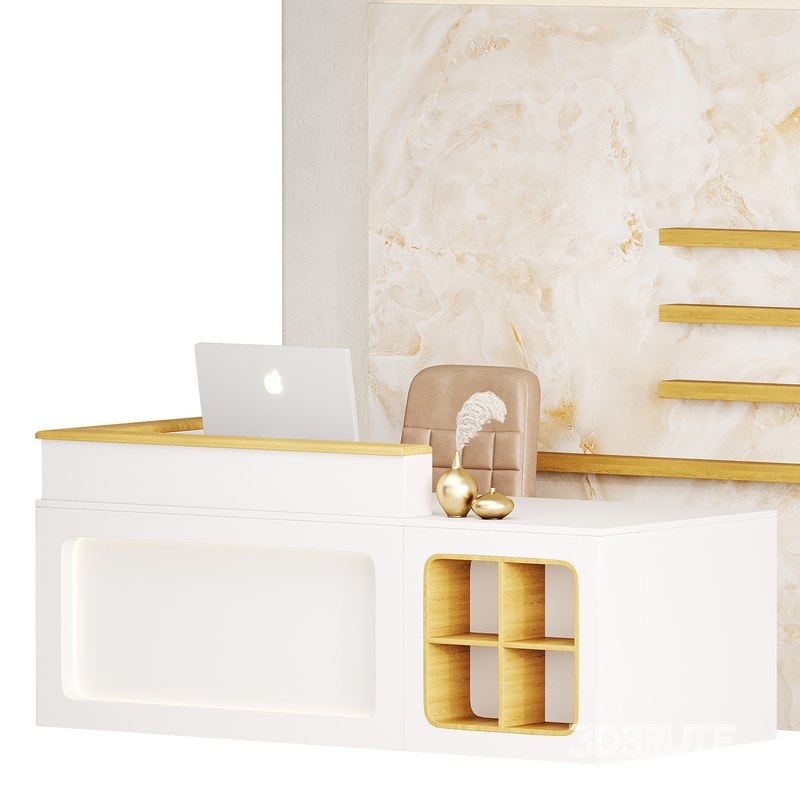 Contemporary Reception 11 Image 10